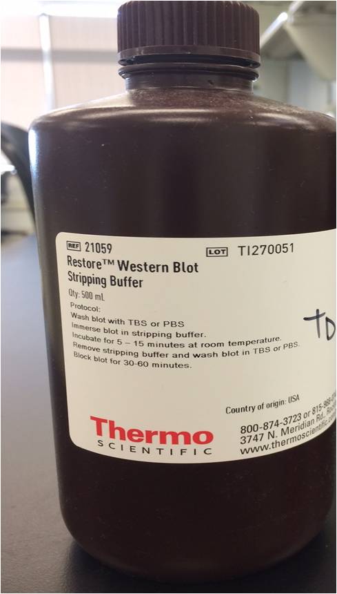 アキページです❤️ Western Blot Stripping Buffer | Biocompare.com Kit/Reagent Review